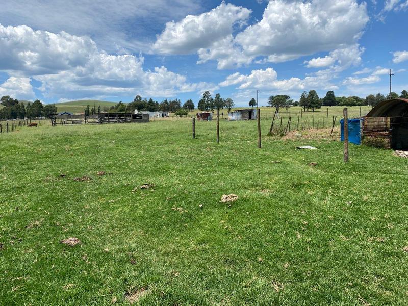 0 Bedroom Property for Sale in Elliot Eastern Cape
